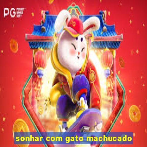 sonhar com gato machucado